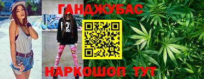 сатива Кингисепп